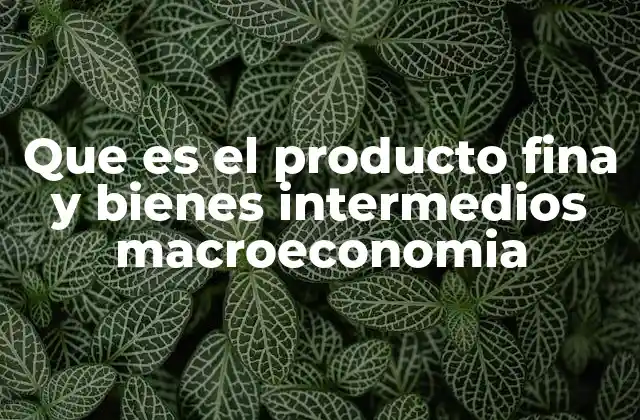 Que es el Producto Fina y Bienes Intermedios Macroeconomia