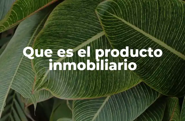 Que es el Producto Inmobiliario