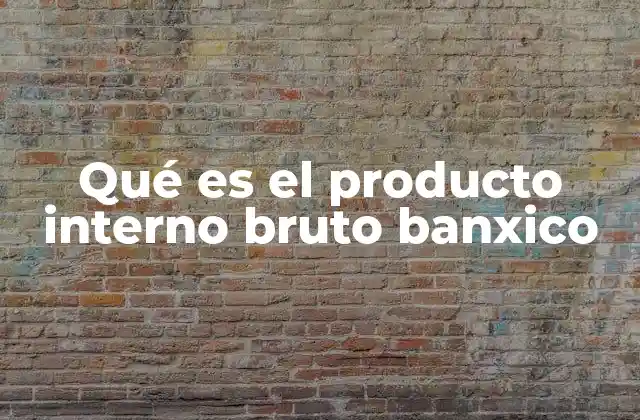 Qué es el Producto Interno Bruto Banxico