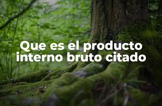 Que es el Producto Interno Bruto Citado 2 La importancia del PIB citado en el análisis macroeconómico
