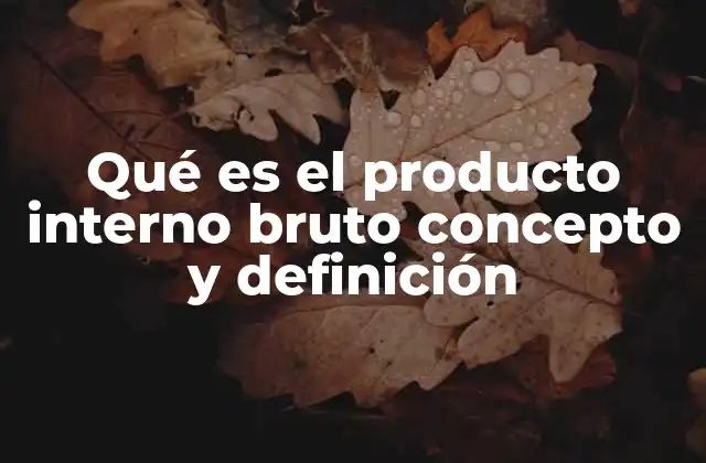 Qué es el Producto Interno Bruto Concepto y Definición