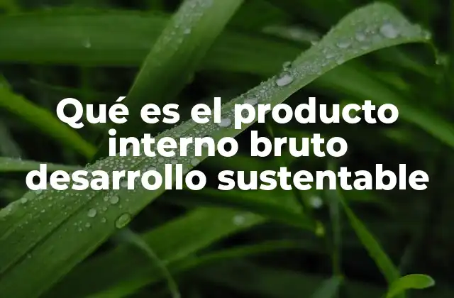 Qué es el Producto Interno Bruto Desarrollo Sustentable