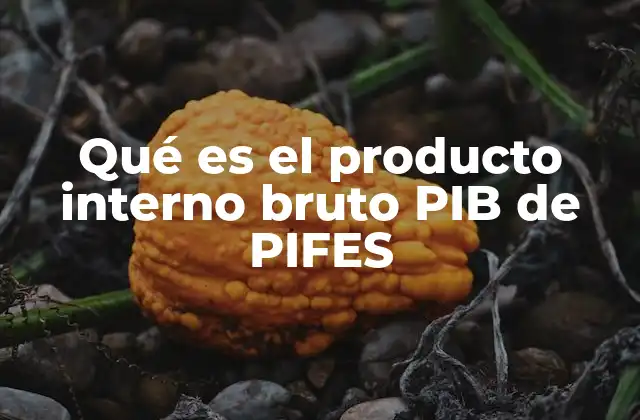 Qué es el Producto Interno Bruto Pib de Pifes 2 Cómo el PIB refleja la actividad económica de un país