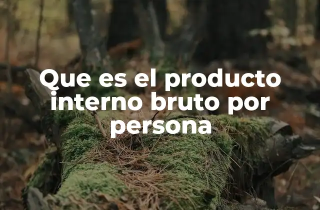 Que es el Producto Interno Bruto por Persona