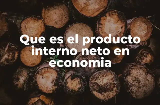 Que es el Producto Interno Neto en Economia
