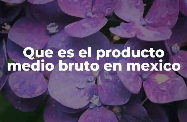 La importancia del Producto Medio Bruto en la economía regional