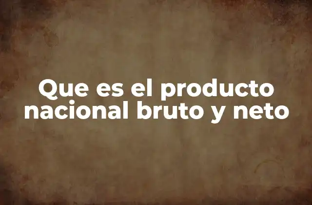 Que es el Producto Nacional Bruto y Neto