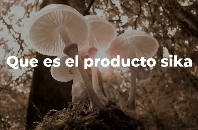 Que es el Producto Sika