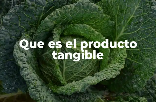 Que es el Producto Tangible