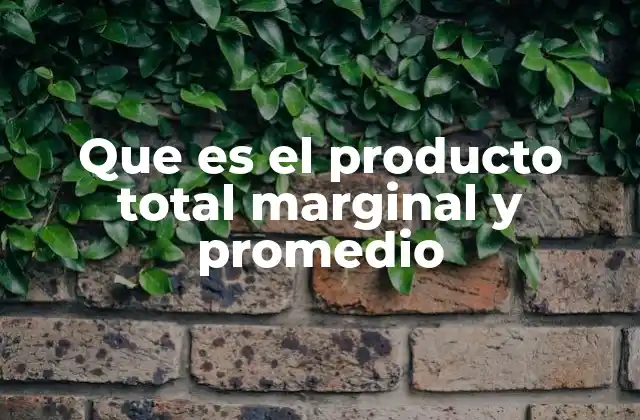 Que es el Producto Total Marginal y Promedio