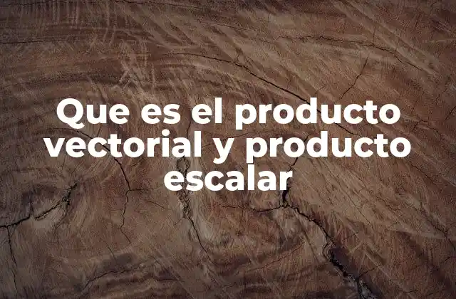 Cómo se diferencian las operaciones con vectores