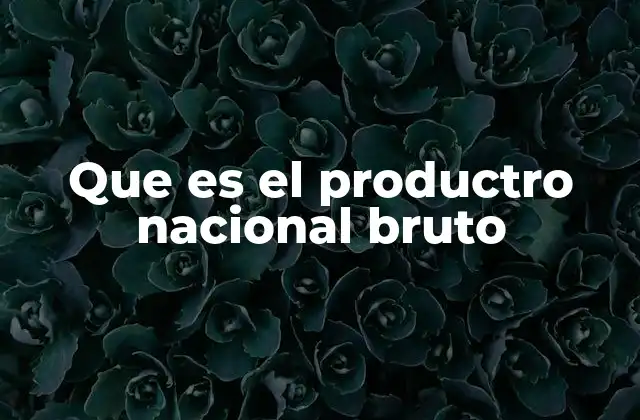 Que es el Productro Nacional Bruto