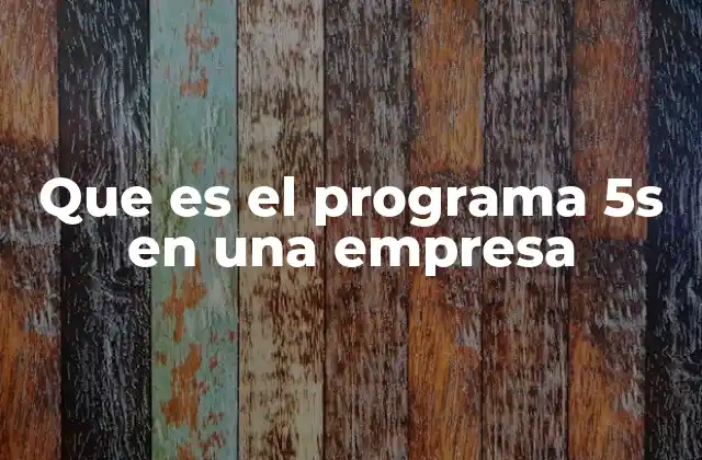 Que es el Programa 5s en una Empresa