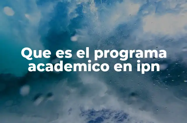 Que es el Programa Academico en Ipn