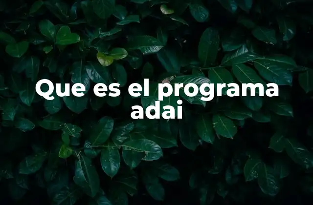 Que es el Programa Adai