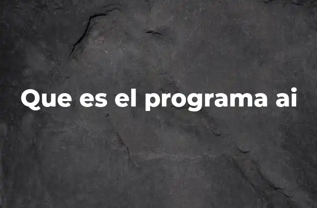 Que es el Programa Ai
