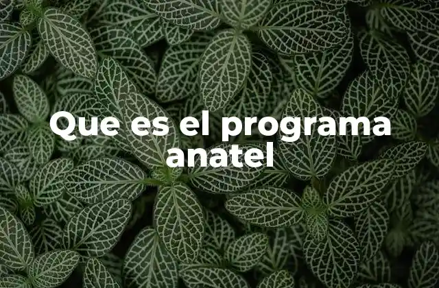 Que es el Programa Anatel 2 El papel de ANATEL en la regulación de telecomunicaciones