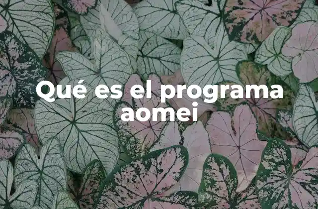 Qué es el Programa Aomei