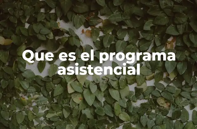 Que es el Programa Asistencial