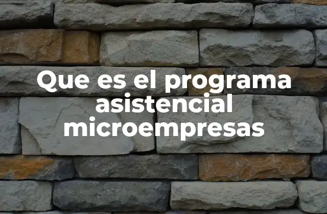 Que es el Programa Asistencial Microempresas