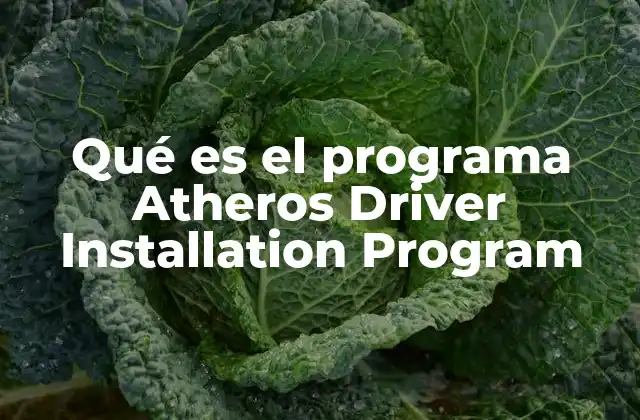 Qué es el Programa Atheros Driver Installation Program