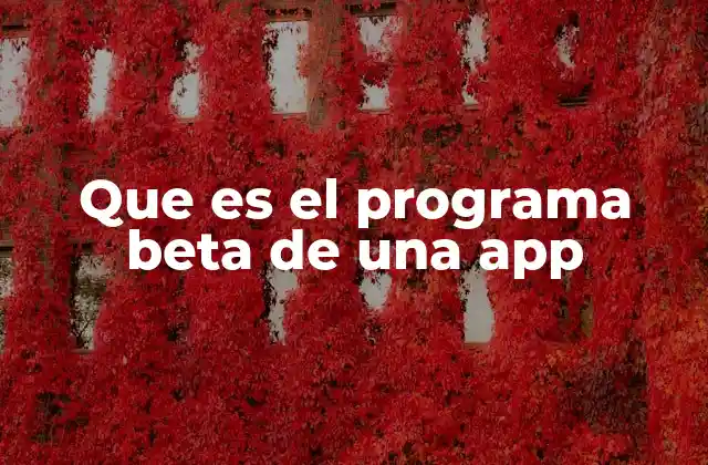 Que es el Programa Beta de una App