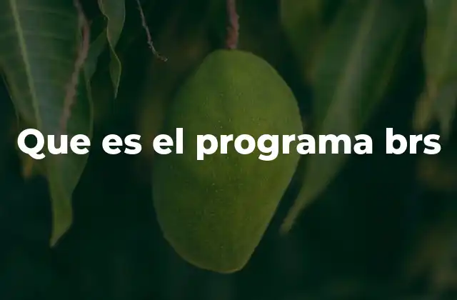 Que es el Programa Brs