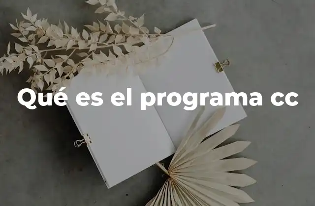 Qué es el Programa Cc