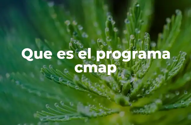 Que es el Programa Cmap