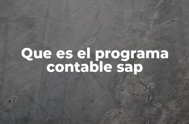 Que es el Programa Contable Sap