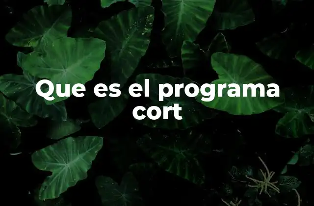 Que es el Programa Cort
