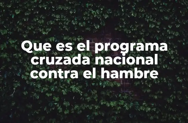 Que es el Programa Cruzada Nacional contra el Hambre