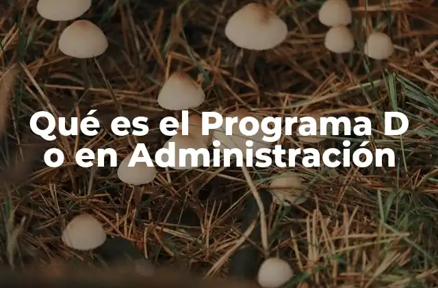 Qué es el Programa D o en Administración