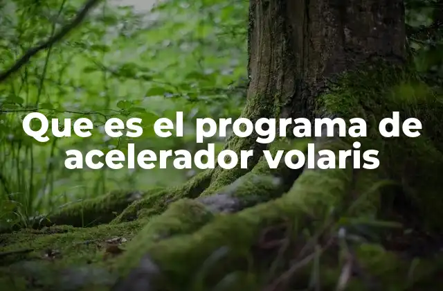 Que es el Programa de Acelerador Volaris 2 Cómo los aceleradores de emprendimiento impactan el crecimiento de startups