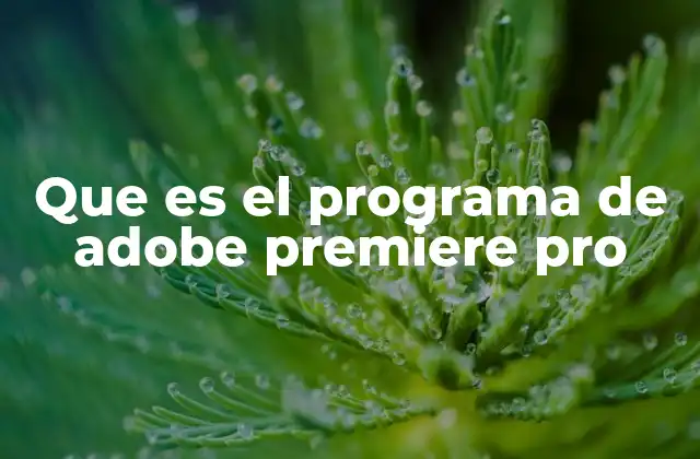 Que es el Programa de Adobe Premiere Pro