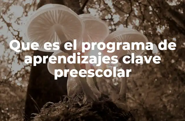 Que es el Programa de Aprendizajes Clave Preescolar