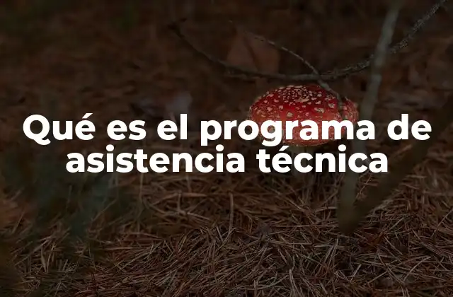Qué es el Programa de Asistencia Técnica