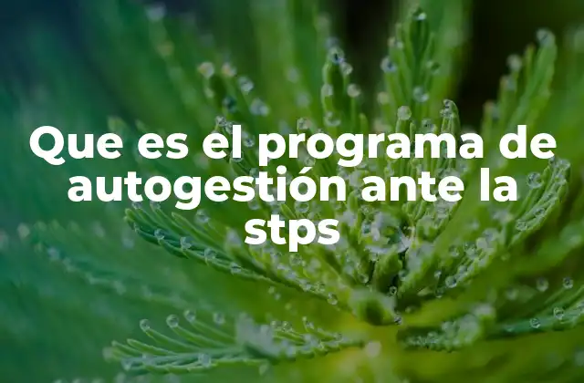 Que es el Programa de Autogestión ante la Stps