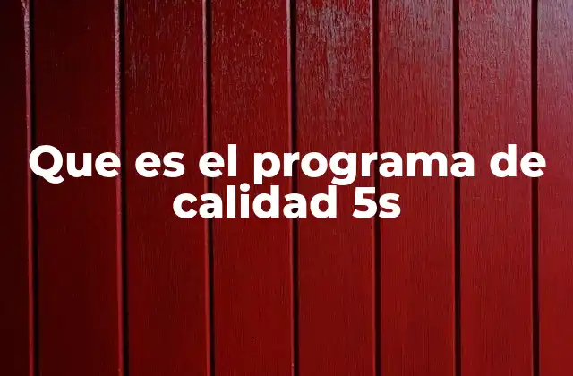 Que es el Programa de Calidad 5s