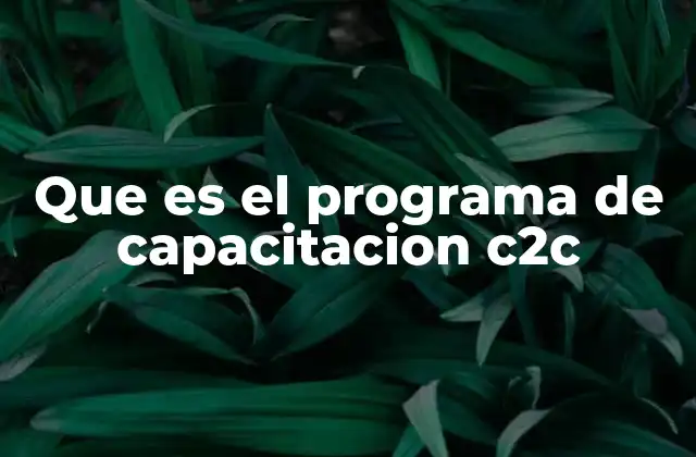 El papel del C2C en la formación laboral