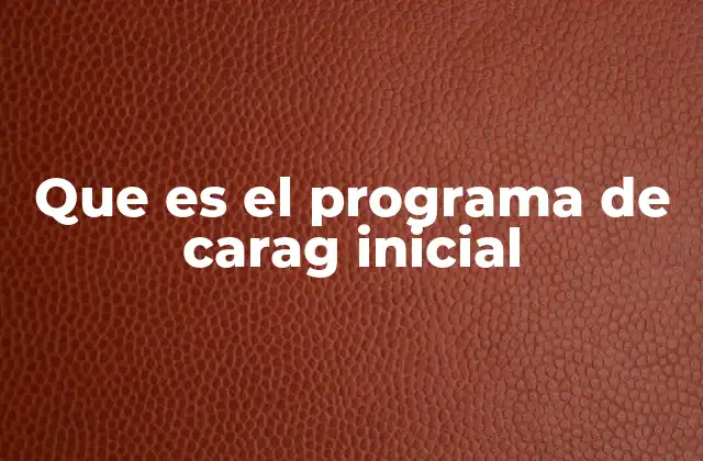 Que es el Programa de Carag Inicial