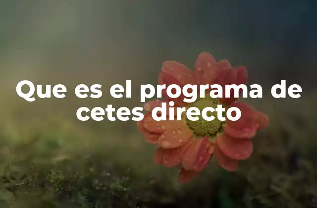 Que es el Programa de Cetes Directo
