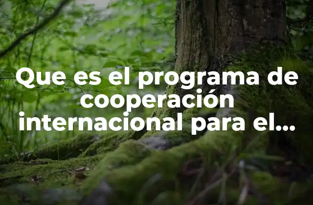 Que es el Programa de Cooperación Internacional para el Desarrollo