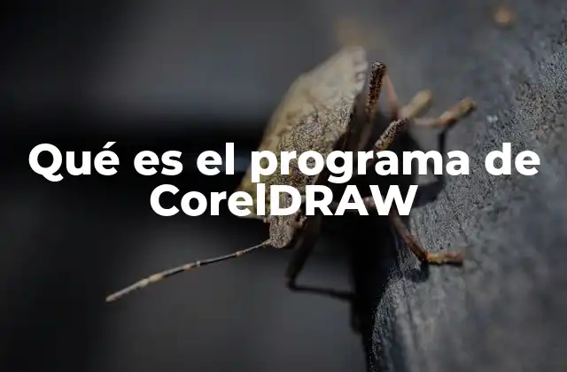 Qué es el Programa de Coreldraw