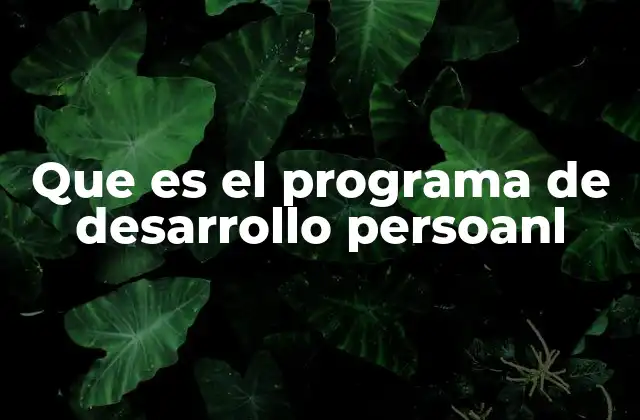 Que es el Programa de Desarrollo Persoanl