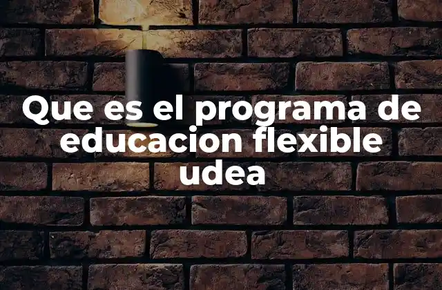 Que es el Programa de Educacion Flexible Udea 2 Características del Programa de Educación Flexible UdeA
