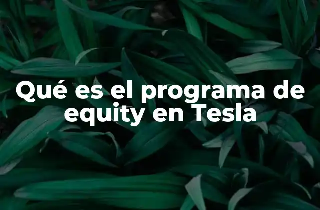 Qué es el Programa de Equity en Tesla
