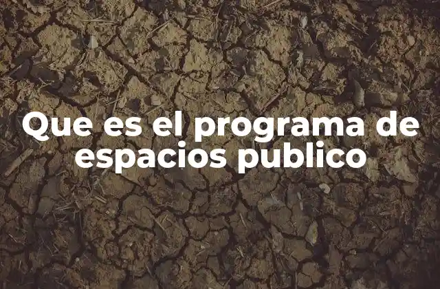 Que es el Programa de Espacios Publico