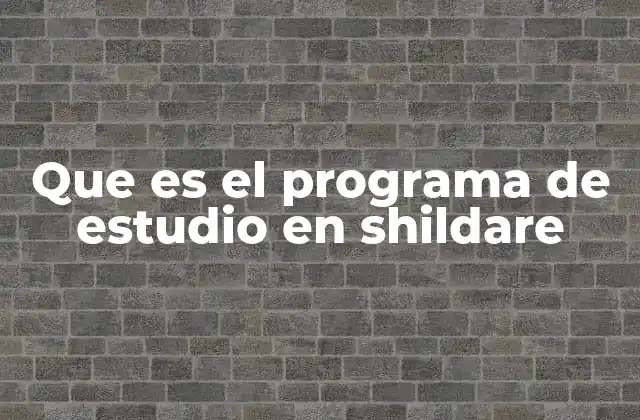 Que es el Programa de Estudio en Shildare 2 La base del currículo en Shildare