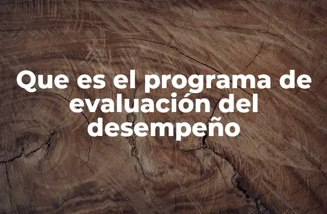 Que es el Programa de Evaluación Del Desempeño